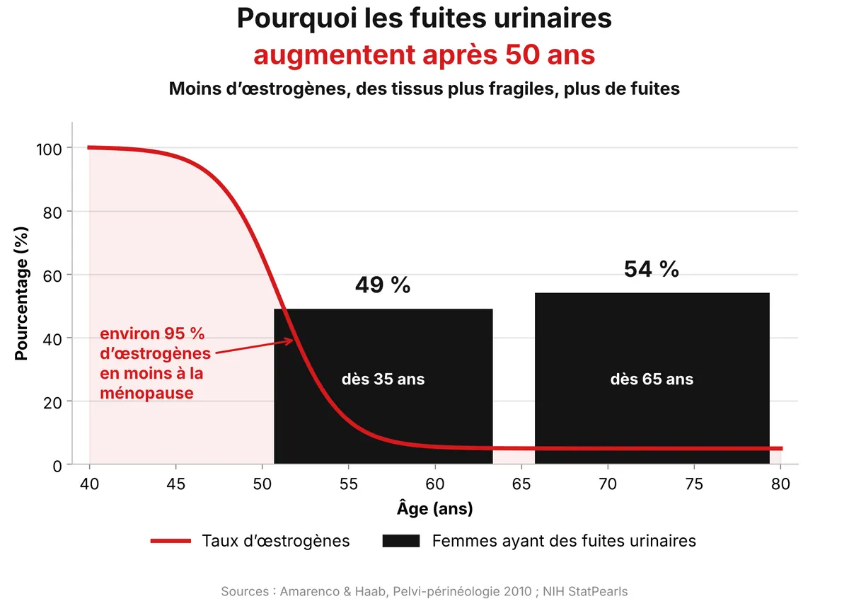 Graphique : le taux d’œstrogènes chute à la ménopause