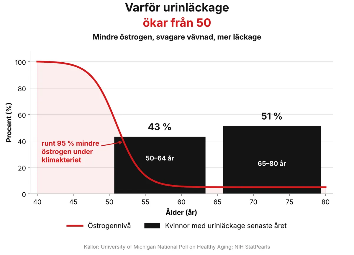 Grafik: Östrogennivån sjunker under klimakteriet